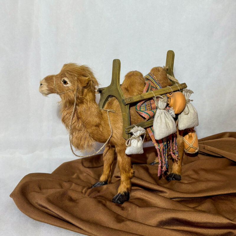 Kamel mit Sattel