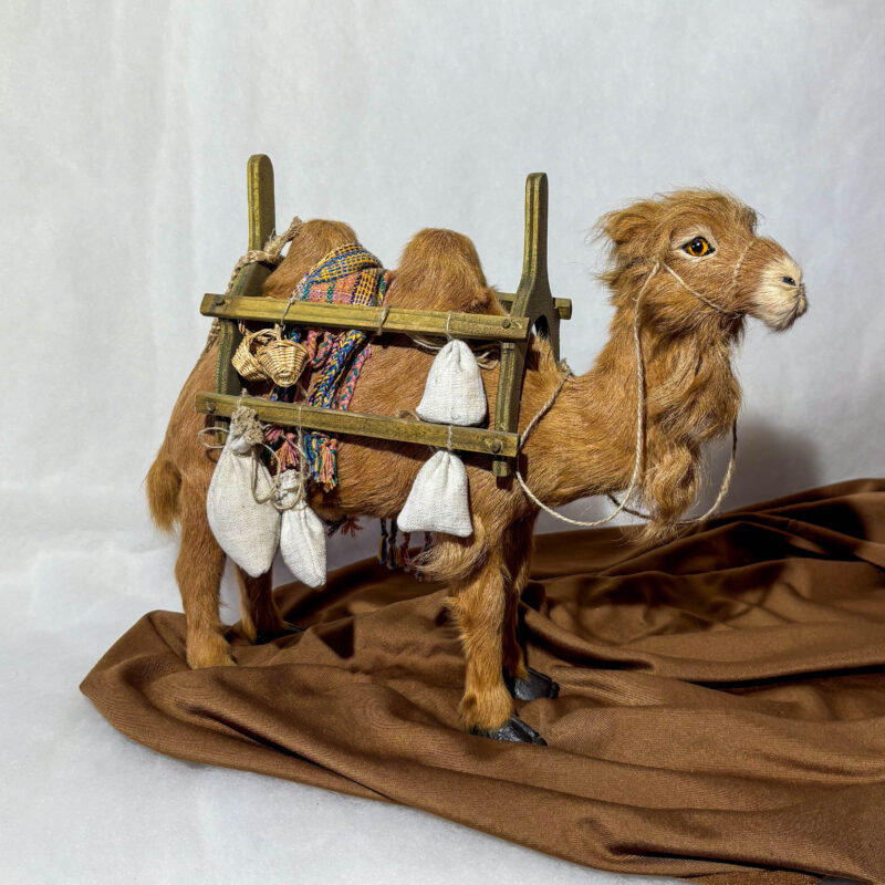 Kamel mit Sattel